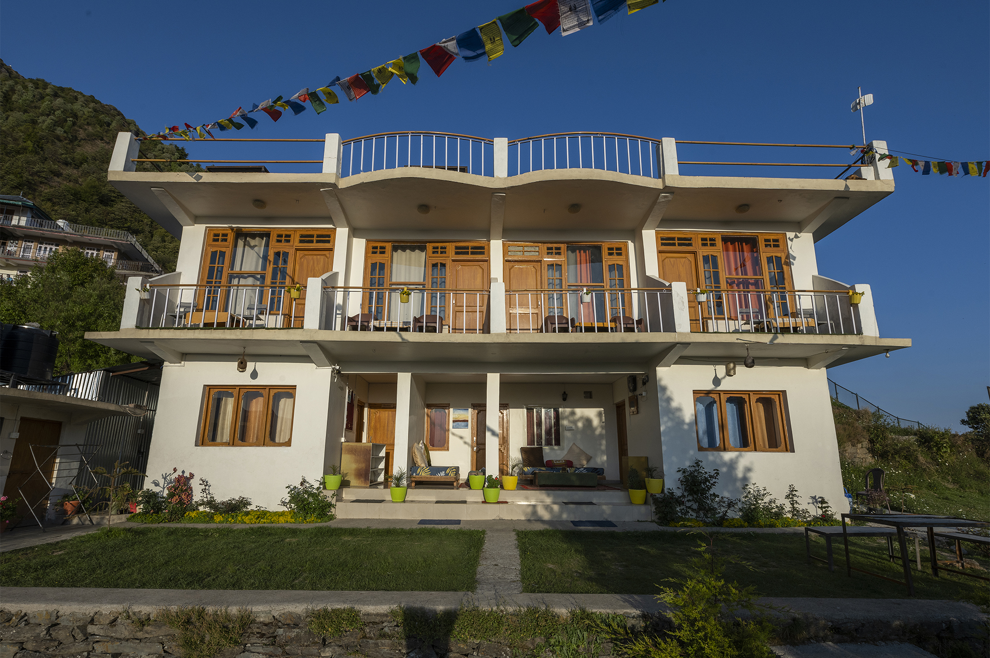 The Birdhouse Retreat — deodar forest guesthouse in upper Dharamkot
